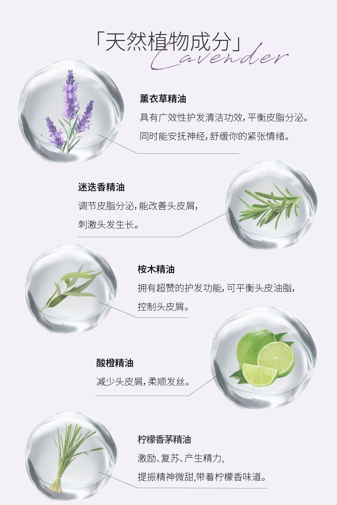 薰衣草详情页_画板 1 副本 4.jpg