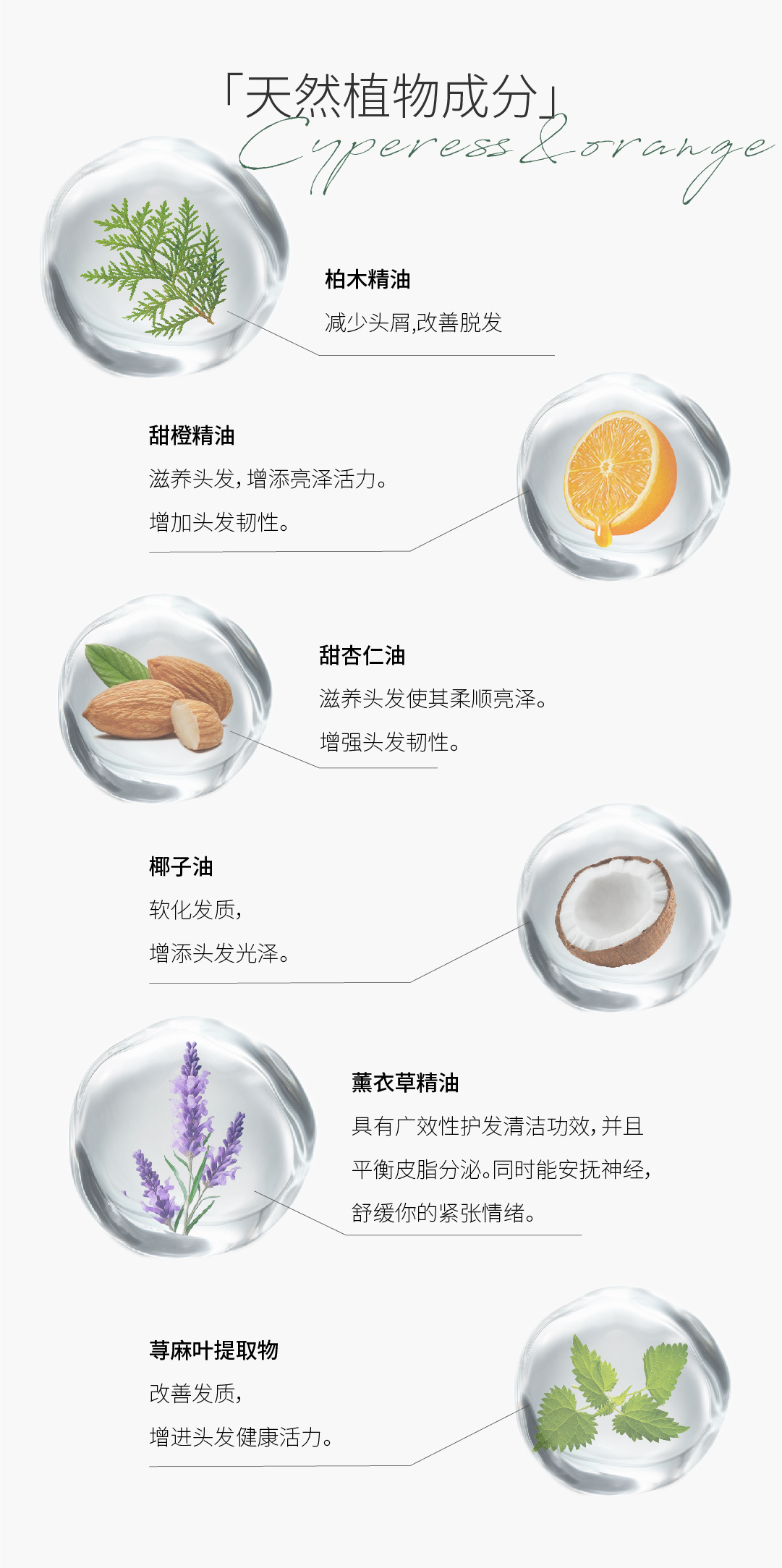 柏木甜橙洗发皂详情页(去功效版）_画板 1 副本 4.jpg