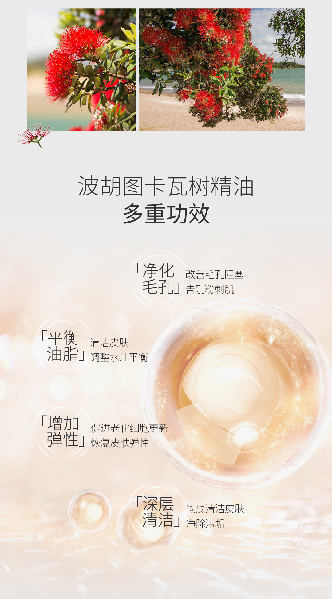 圣诞之夜 (4).jpg